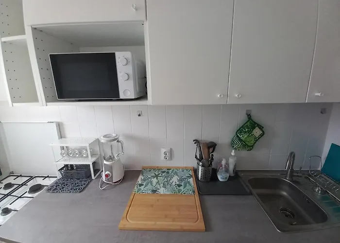 Garsoniera Comfort 아파트 *